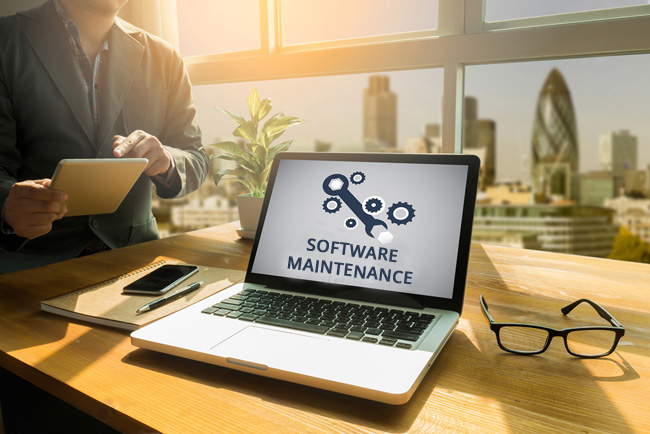 Software Maintenance & Enhancement